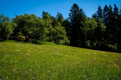 DSCF1780